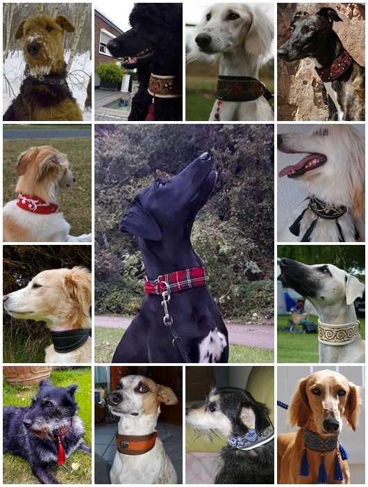 MyEsKiDa - Exklusive Hundemode, handgefertigte Hundehalsb?nder,  Windhundhalsb?nder