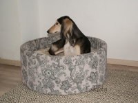 Das einzigartige Buddel-Kuschel Bett grau