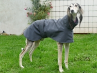 Softshell Wintermantel  65 cm x