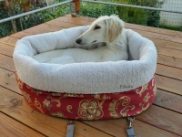 Reisebett/Tasche Siera  60 cm