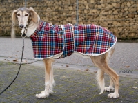 Softshell Wintermantel Karo Grösse 65