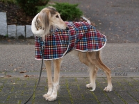 Softshell Wintermantel Karo Grösse 65