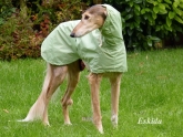 dog-raincoat Hood lined